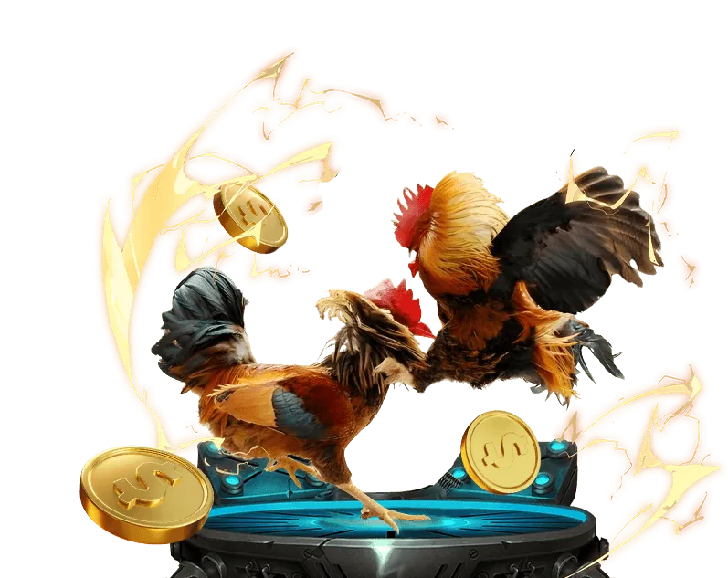 Tổng quan các chương trình khuyến mãi benvip